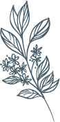 Hand drawn floral decorative elements (25)