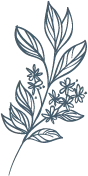 Hand drawn floral decorative elements (26)